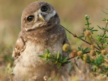 Snippets Of Wisdom #5: Decision-Making Process