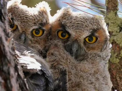 Snippets Of Wisdom #4: Give It A Positive Twist