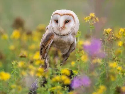 Snippets Of Wisdom #7: Hold Everything Lightly