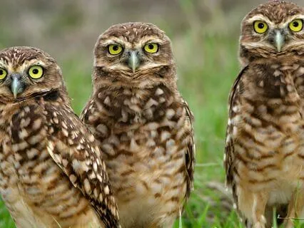 Snippets Of Wisdom #6: Tell A Better Story