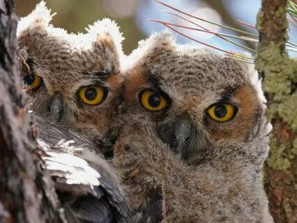 Snippets Of Wisdom #9: Tell The Story You Want Repeated