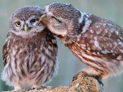 Snippets Of Wisdom #3: There Is No Time Like The Present