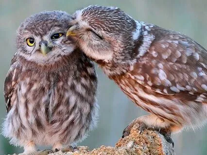 Snippets Of Wisdom #8: Vibrational Broadcasting & Receiving