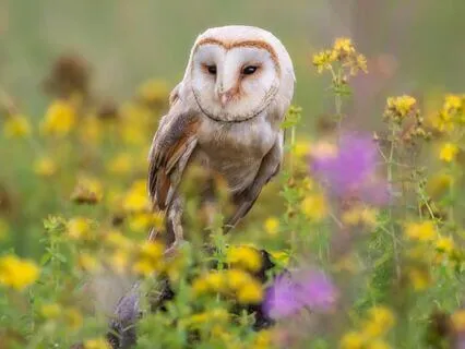 Snippets Of Wisdom #2: We Are Always Trusting Something