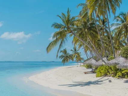 Snorkelling Visualization For Peace And Freedom