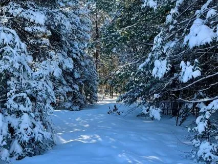 Snow And Firelight:  Late Winter Guided Imagery