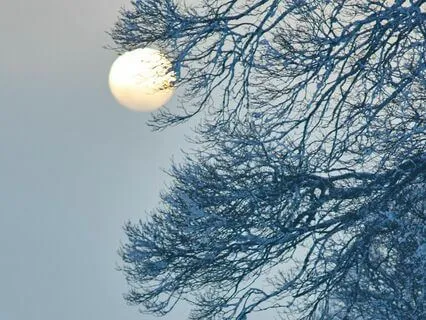 Snow Full Moon In Virgo