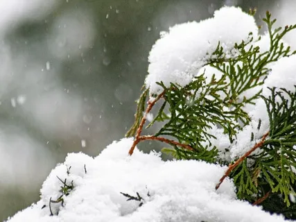 Snow Globe Meditation