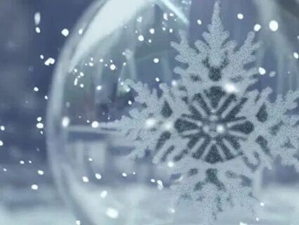 Snow Globe Visualization