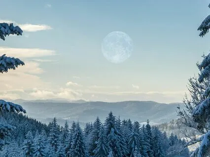 Snow Moon: Healing Sleep Music With Nature Soundscapes