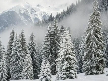 Snow Storm AMSR For Sleep