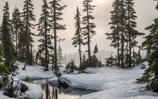 Snow Stroll To The Beach