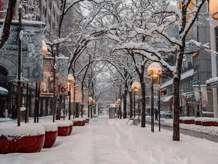 Snowfall On A Quiet Village Street