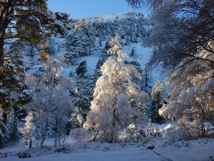 Snowflakes And Starlight: A Christmas Sleep Story (W/ Music)