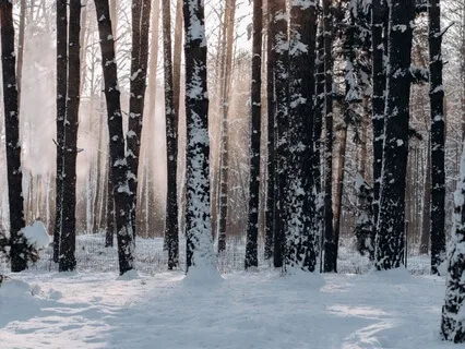 Snowflakes Clearing Meditation