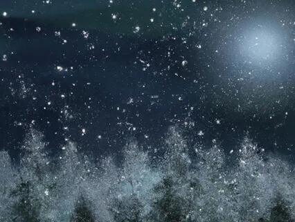 Snowflakes In Moonlight