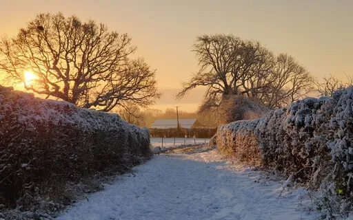 Snowglobe Visualisation