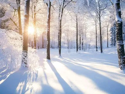 Kids: Snowy Forest Walk