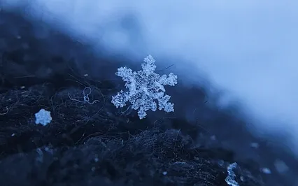 Snowy Island Dreams | Bedtime Story & Sleep Meditation