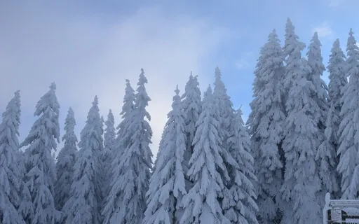 Snowy Mountain Ambiance