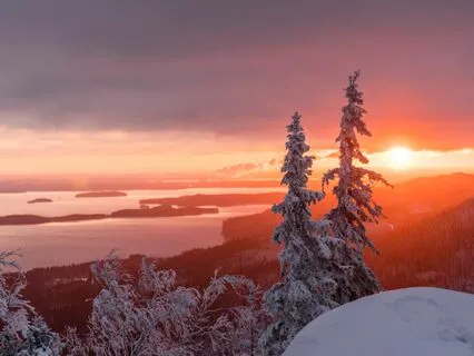 Snowy, Sleepy, Dreamy Walk In The Woods
