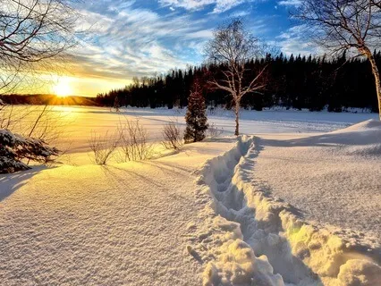 Snowy Steps: 5 Minutes Of Crunching Footsteps In The Snow