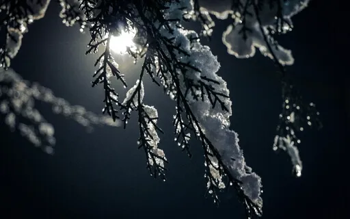 Snowy Wonderland At The Witches' Cottage 