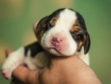 Snuggle Into Stillness: Bedtime Mindful Movement