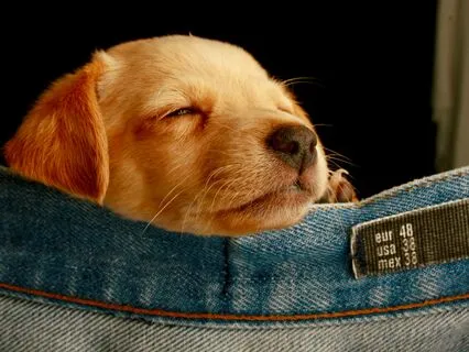 Snuggle Into Stillness : Bedtime Meditation For Kids