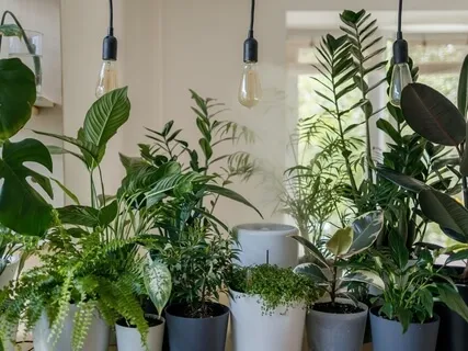 SO HAM Mantra Meditation (Extended Version)