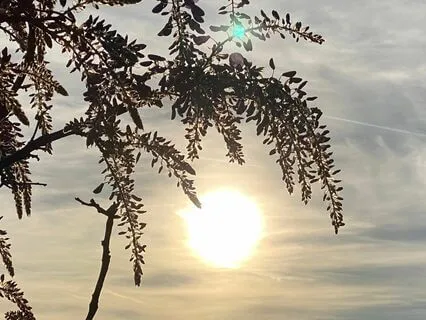 So Ham - A Gentle Breath Mantra Meditation