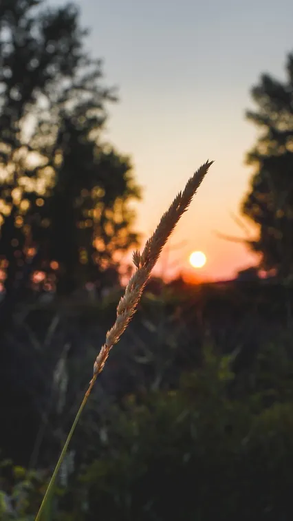 So Hum Breath Meditation