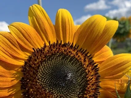 So Hum Mantra Meditation