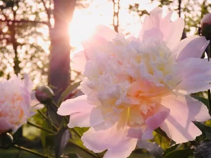 So Special/So Wounded: Navigating Our Hopes & Fears