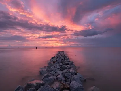 So, What Is Life About?