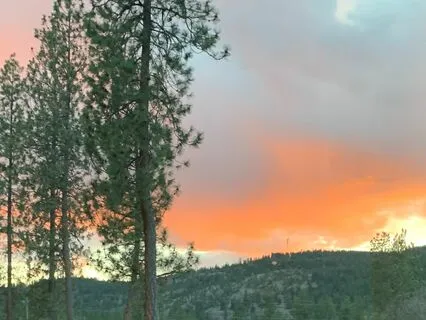 Soar On Wings Isaiah 40:31 In Style Of Lectio Divina