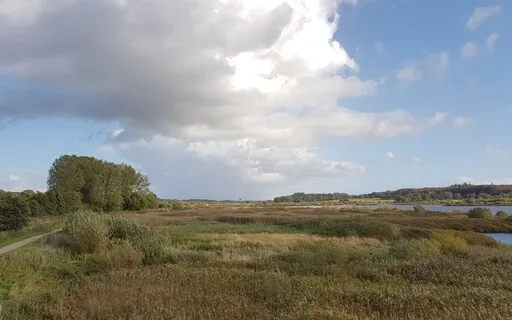 Soaring Over The Water