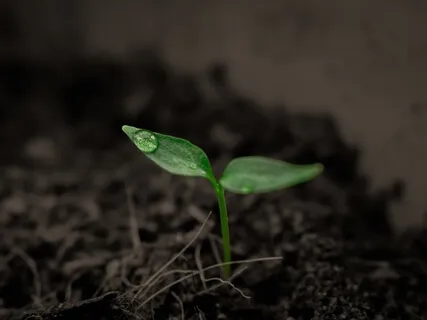 Soaring Spirits International With Michele Neff Hernandez