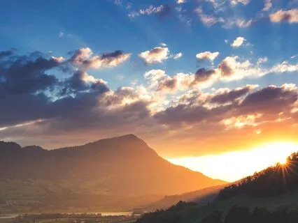 Soaring Through A Dream