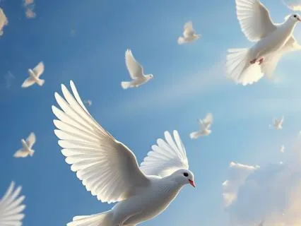 Soaring With Angels