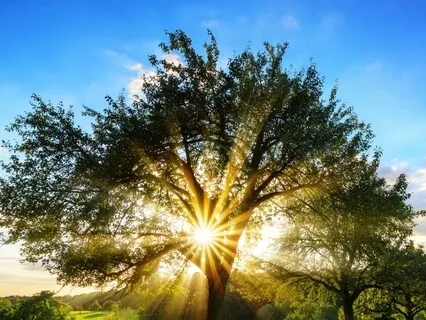 SoBe Mindful 15 Minute Body Awareness Practice 