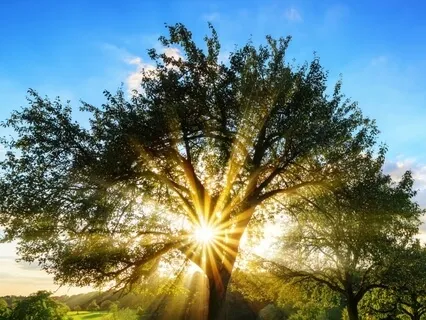 SoBe Mindful 15 Minute Breath Awareness Practice