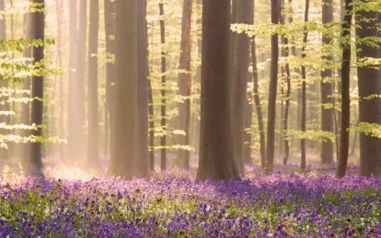 Social Anxiety EFT Tapping Meditation