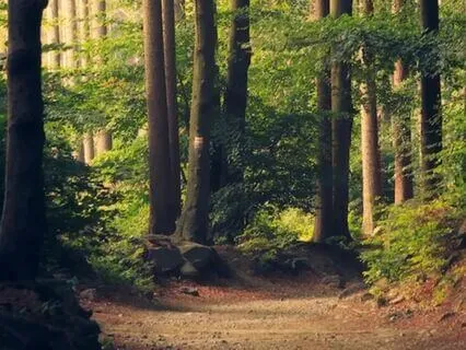 Social Energizer Meditation