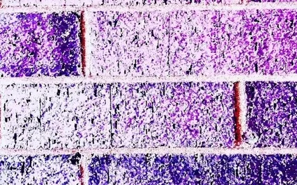 Social Engagement Boost 