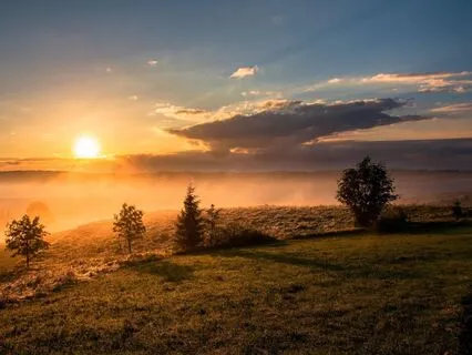 Soft Ambience Music For Stress Relief