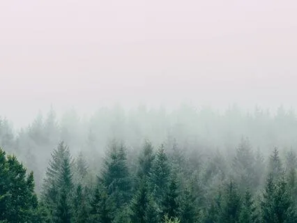 Soft And Smooth Brown Noise For Focus And Relaxation