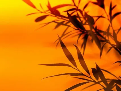 Soft as Sky – A Gentle Space For Heartfelt Calm