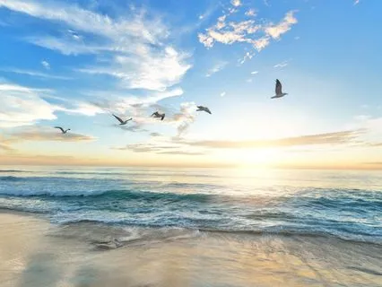 Soft Awakening: A Gentle Morning Meditation