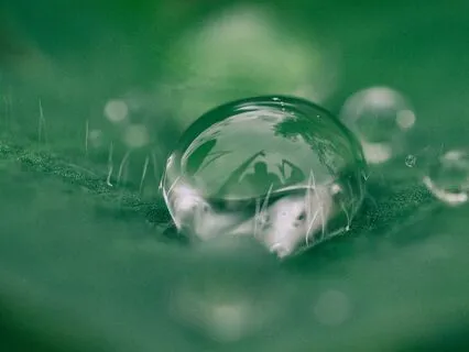 Soft Belly, Quiet Mind: A Gentle Breathing Practice